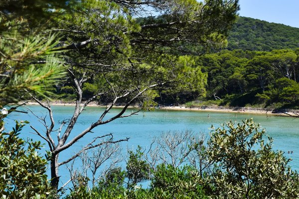 Camping Port Pothuau 4 étoiles dans le Var